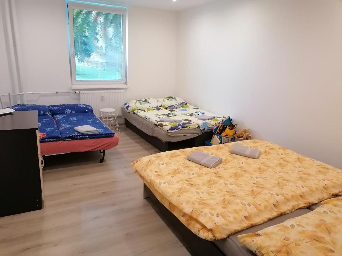 Apartman Aneta 卡罗维发利 外观 照片