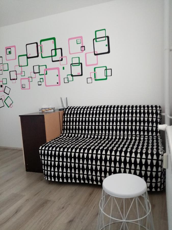 Apartman Aneta 卡罗维发利 外观 照片