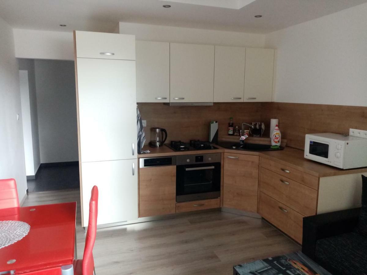 Apartman Aneta 卡罗维发利 外观 照片