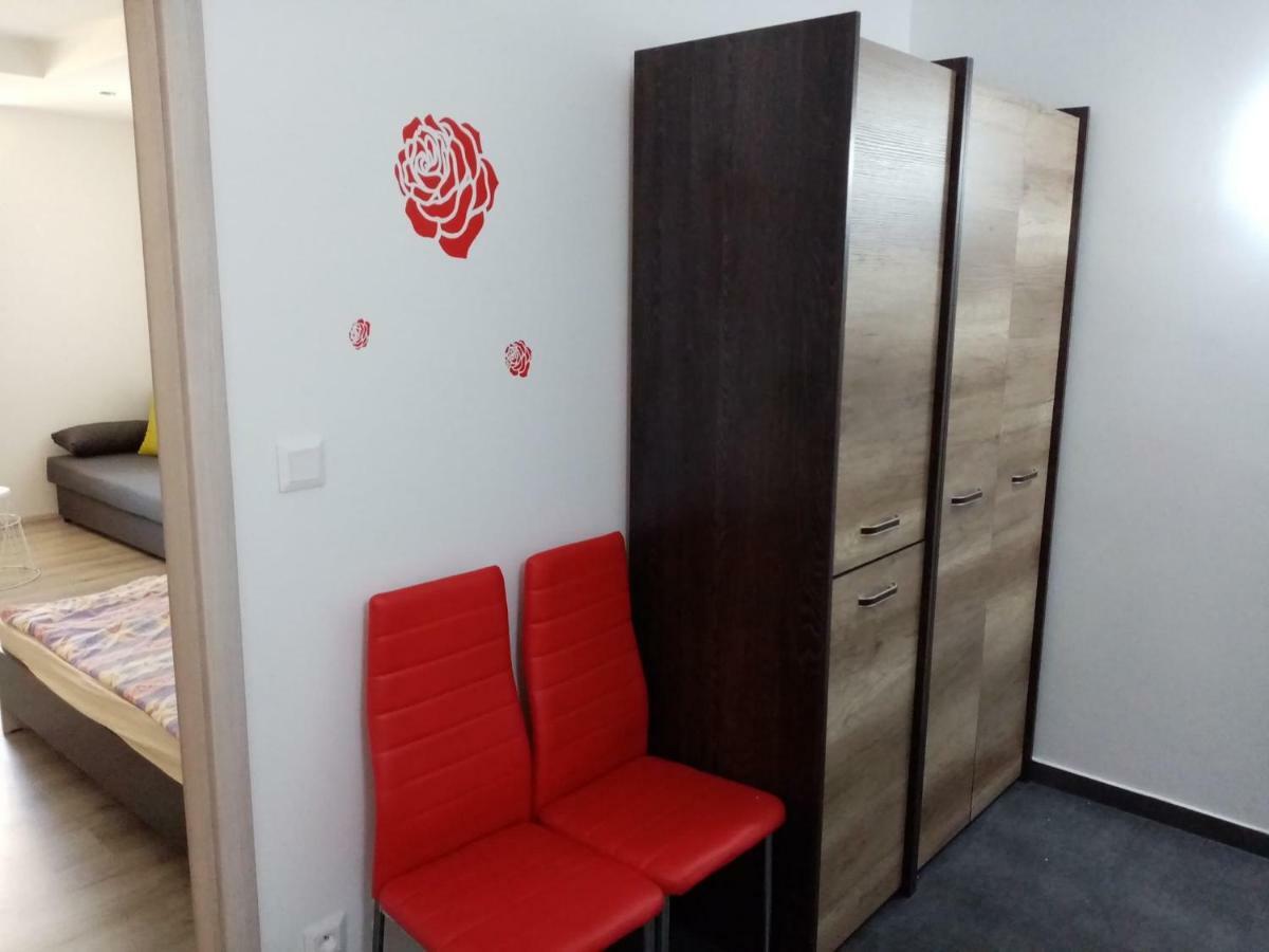 Apartman Aneta 卡罗维发利 外观 照片