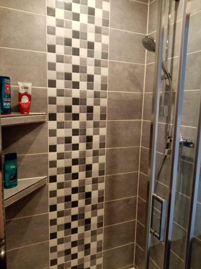 Apartman Aneta 卡罗维发利 外观 照片