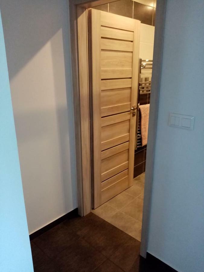 Apartman Aneta 卡罗维发利 外观 照片