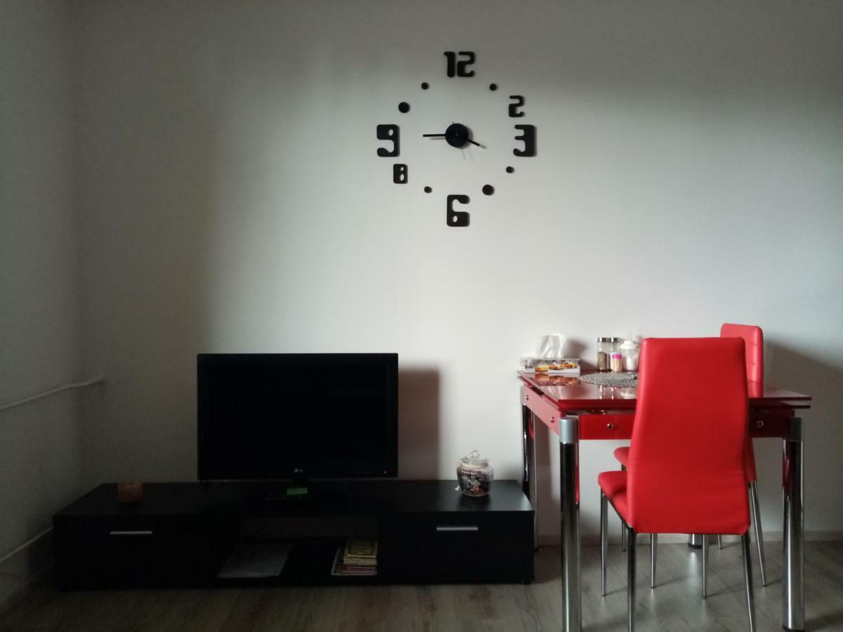 Apartman Aneta 卡罗维发利 外观 照片